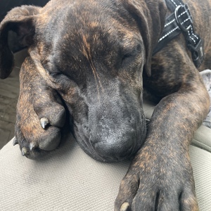 Fundraising Page: Misty Morin